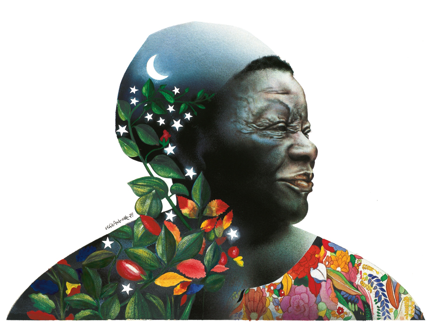 Obra 63: Clementina de Jesus, de Elifas Andreato, 1990.